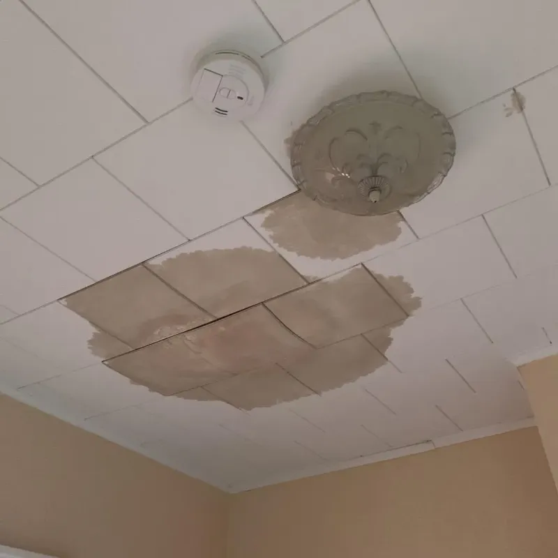 Ceiling Water Damage Repair in Hortonville, WI