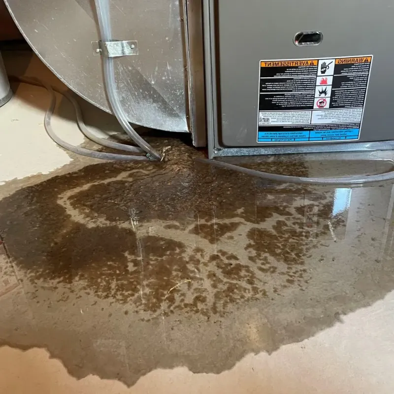 Pipe Burst and Leak Restoration in Hortonville, WI