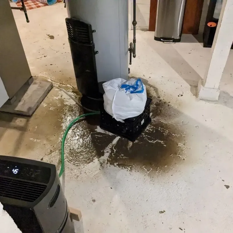 Sewage Backup Cleanup Service in Hortonville, WI